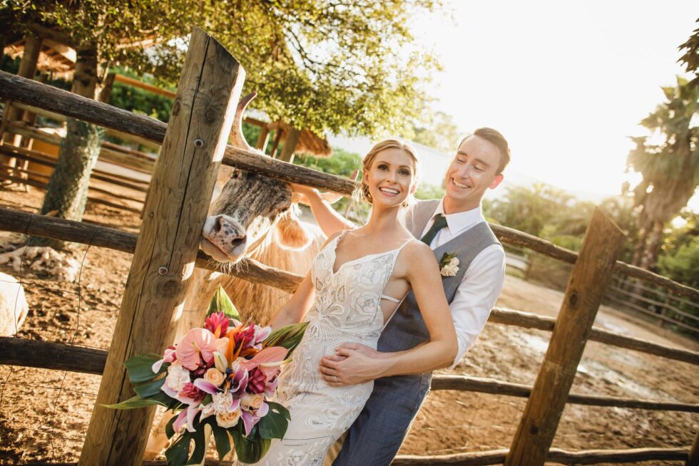 Themed Bridal Shoots: Boho, Glam, or Rustic in Cabo